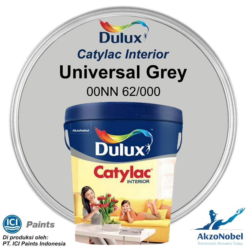 Promo Peinture Blanche Dulux Valentine Chez Castorama