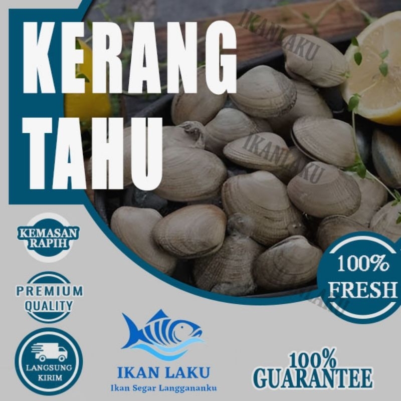 Jual Kerang Tahu Premium {cikarang Tambun} Fresh Termurah Bergaransi