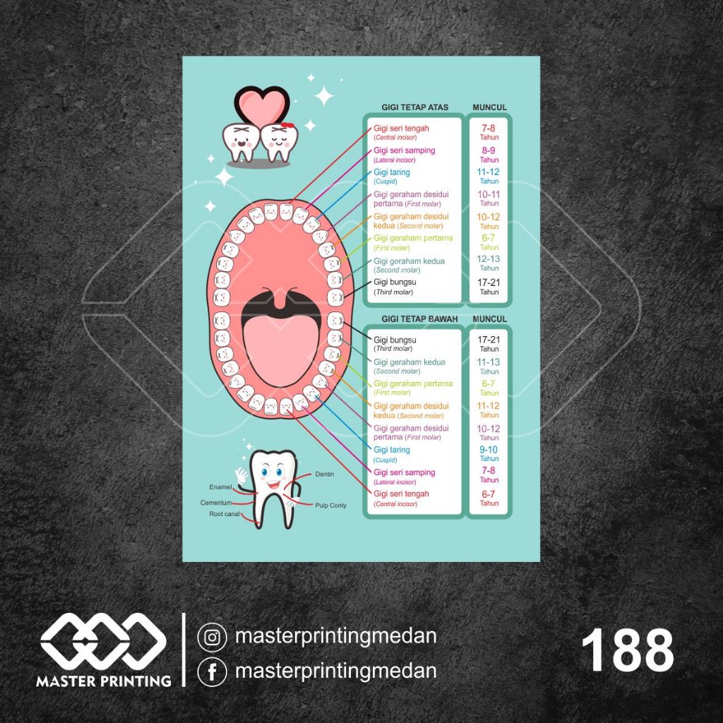 Jual 188 - Stiker Gambar Susunan Gigi, Sticker Vinyl, Ritrama, Cutting ...