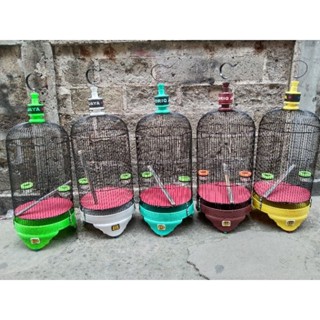 Porno lord va uning qullari