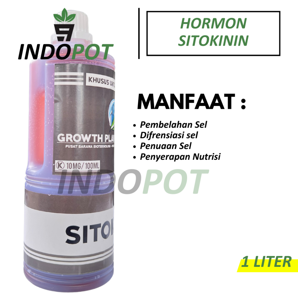 Jual Hormon Sitokinin 1 Liter Zat Pengatur Tumbuh Tanaman | Shopee ...
