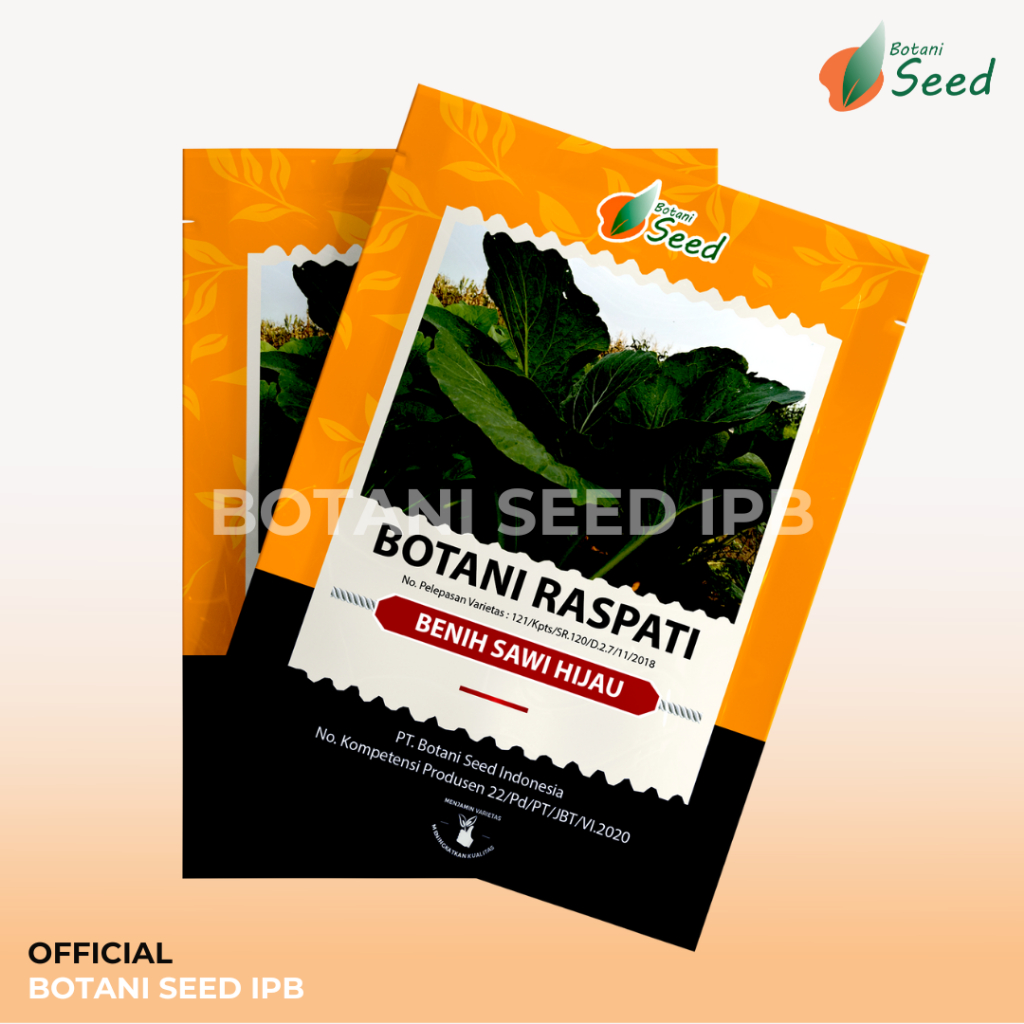 Jual Benih Sawi Hijau Raspati Botani Seed IPB | Shopee Indonesia