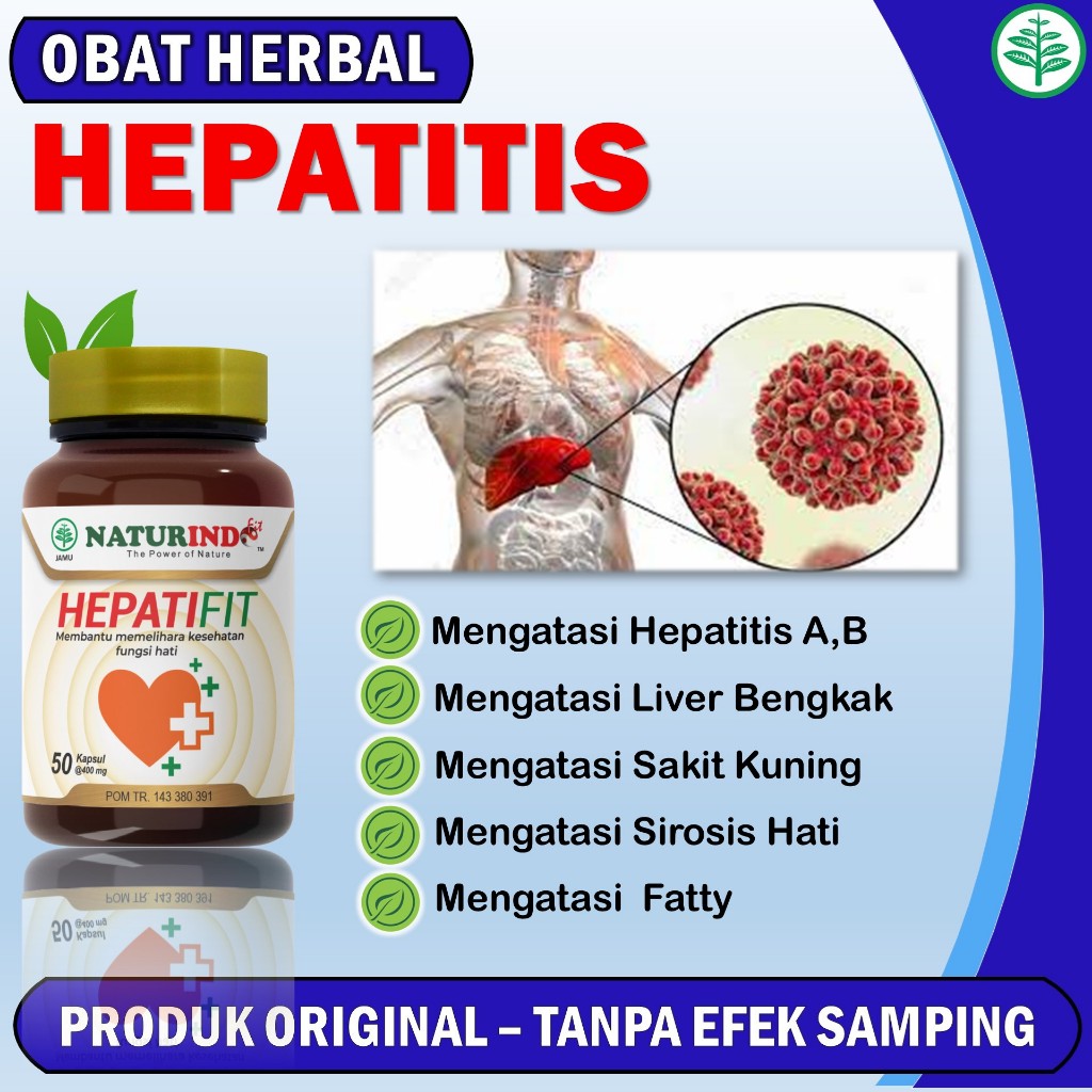 Jual Obat Hepatitis B Ampuh Sembuh Total Kronis Herbal Shopee Indonesia