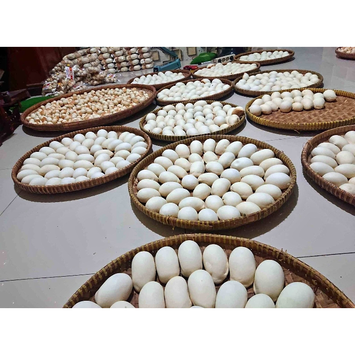Jual Mini Nopia Kue Nopia Mino Khas Banyumas 250gram | Shopee Indonesia