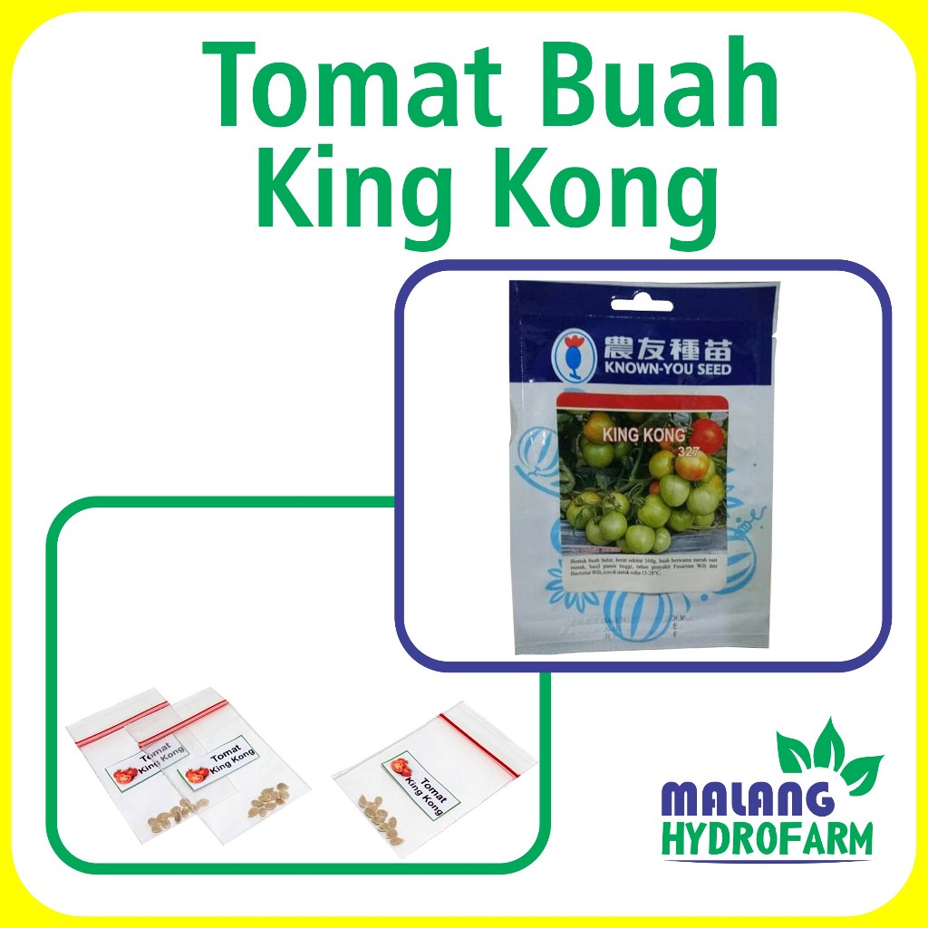 Jual Benih Tomat Buah King Kong Repack Known You Seed Bibit Biji