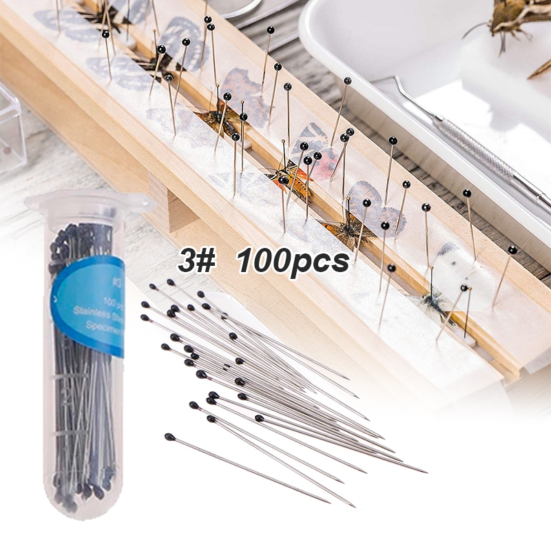Jual 100pcs Insect Pins Insect Specimen Needle Length 40mm Stainless ...