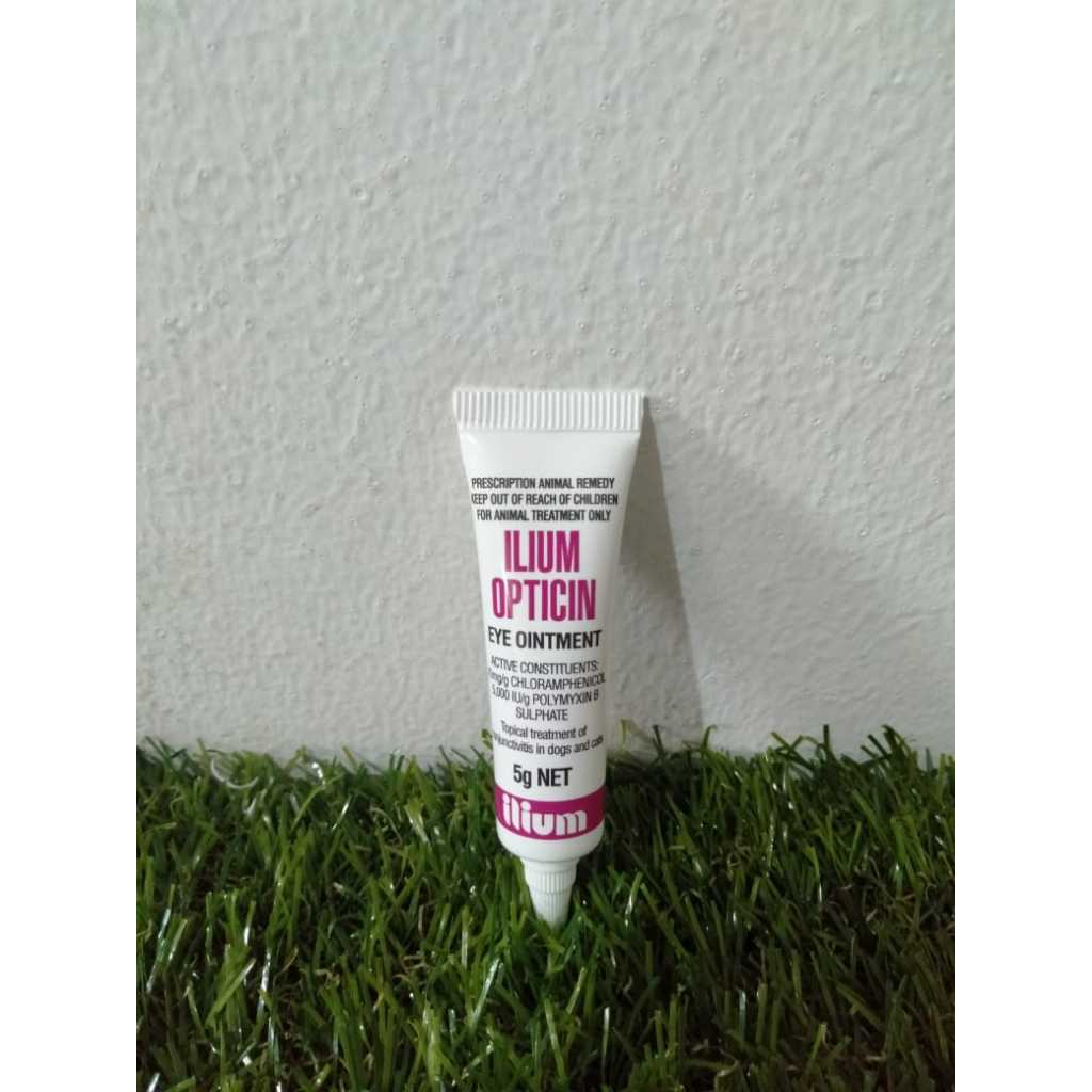 Ilium eye ointment for dogs hotsell