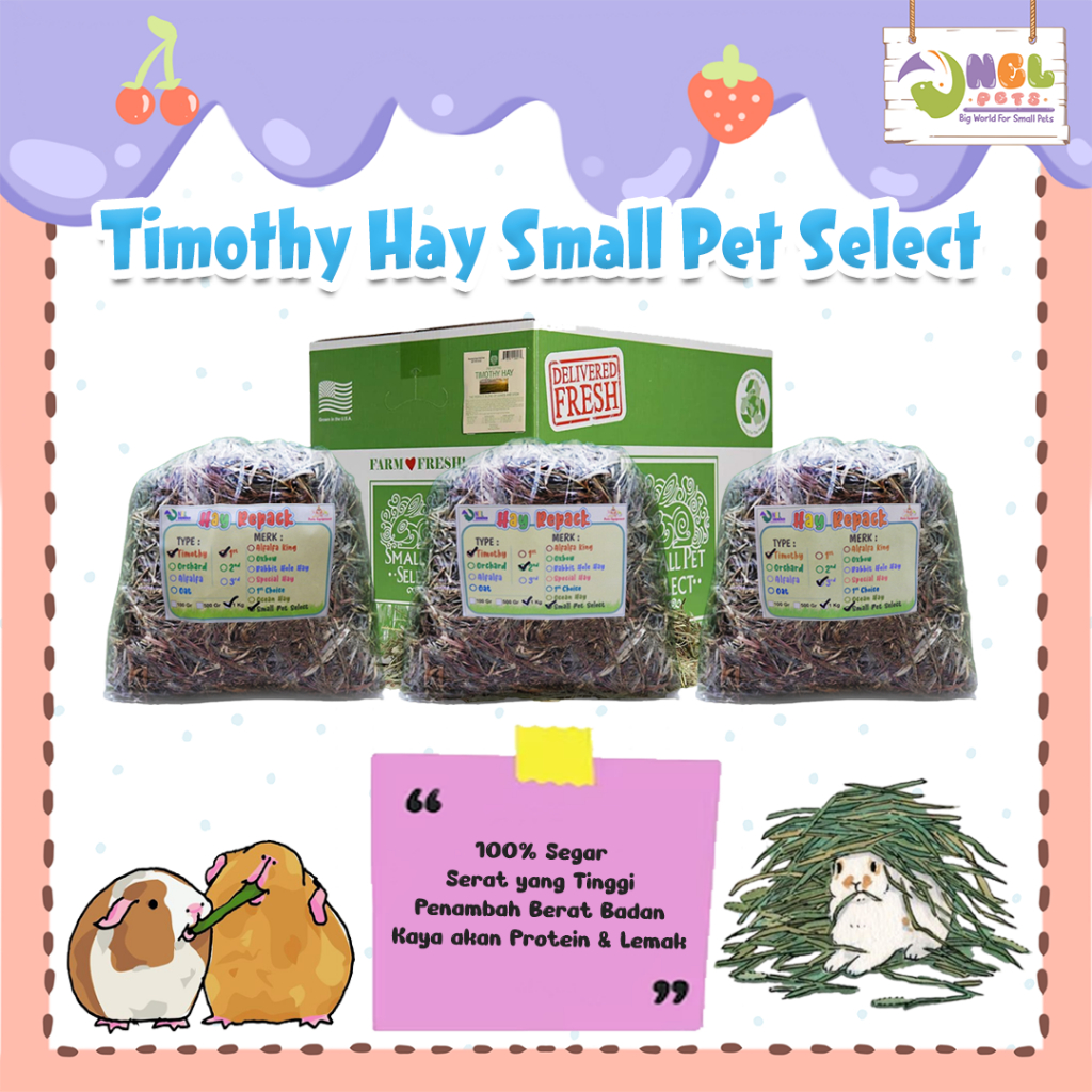 Jual SMALL PET SELECT HAY/TIMOTHY HAY SPS/pakan kelinci/ALFALFA HAY/OAT HAY REPACK 1KG Shopee