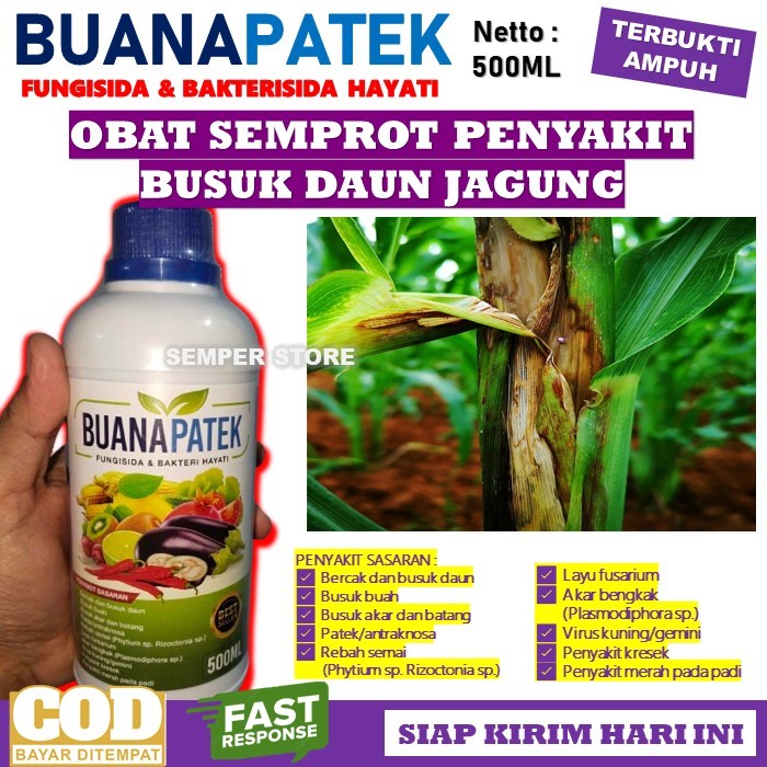 Jual Obat Busuk Daun Jagung Ampuh Fungisida And Bakterisida Hayati