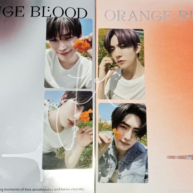 Jual WTS PHOTOCARD ENHYPEN ORANGE BLOOD OB KALPA KSANA HEESEUNG BUNGA ...