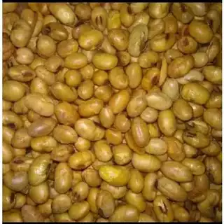 Jual kacang kedelai Harga Terbaik & Termurah April 2025