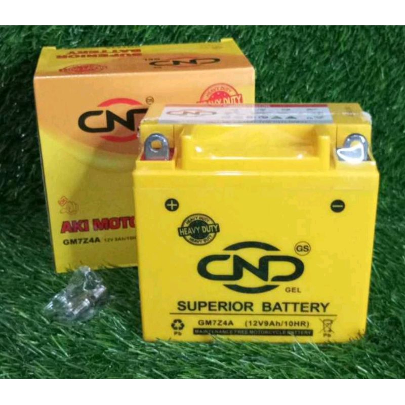 Pulsar 180 2024 battery ampere