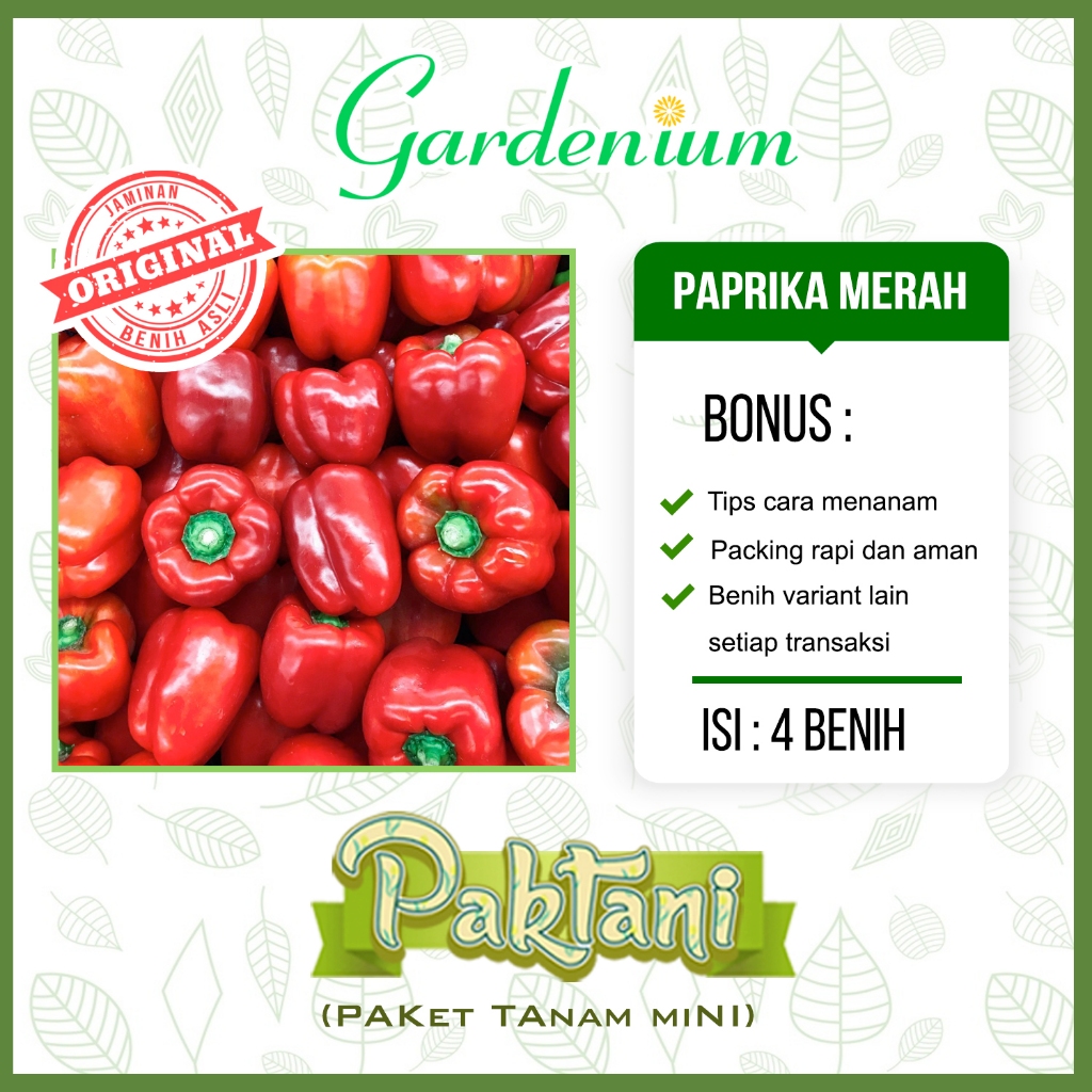 4 Benih Paprika Merah Sayuran Unggul Paktani