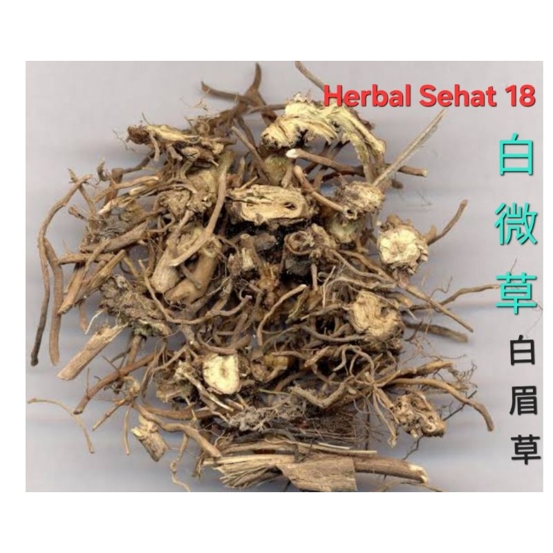 Jual 50 gram Bai Wei Cao 白微草 Bai Mei Cao 白眉草 Cynanchi Atrati Radix ...