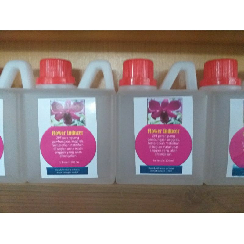 Produk BJ_Orchids | Shopee Indonesia