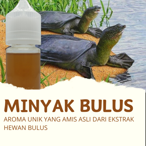 Jual ESSEN BIANG BULUS OIL / ESEN BIANG BULUS OIL / BIANG BULUS OIL ...