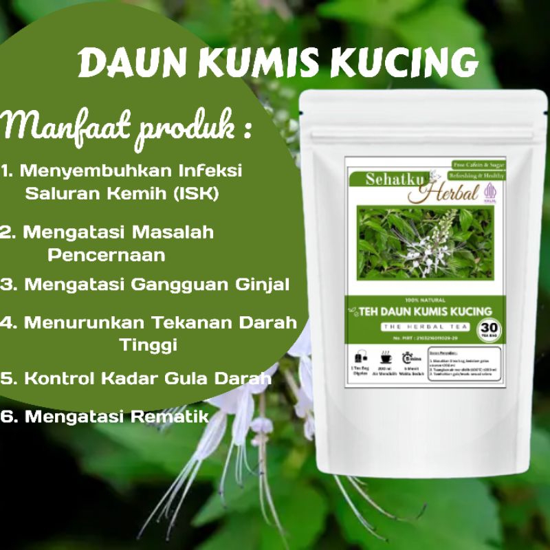 Jual Teh Daun Kumis Kucing : Teh Batu Ginjal Isi 30 Tea bag | Shopee ...