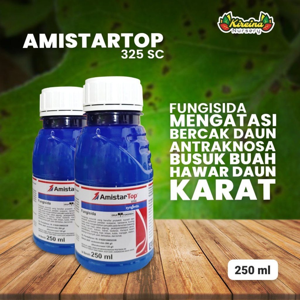 Jual Ml Amistar Top Sc Fungisida Untuk Mengatasi Bercak Daun