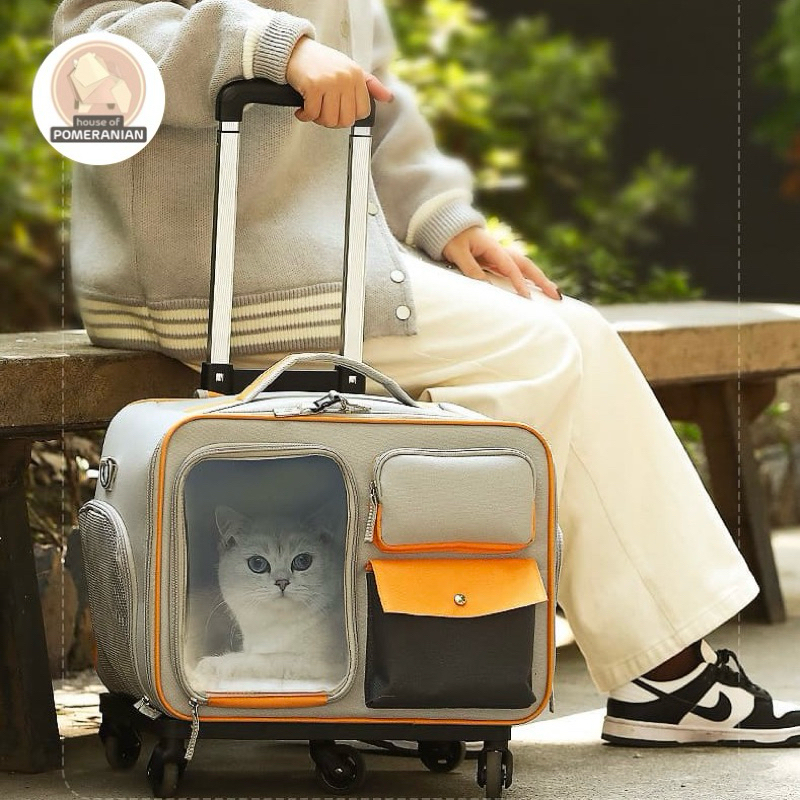 Jual DOG CAT stroller backpack pet bag travel trolley anjing kucing ...