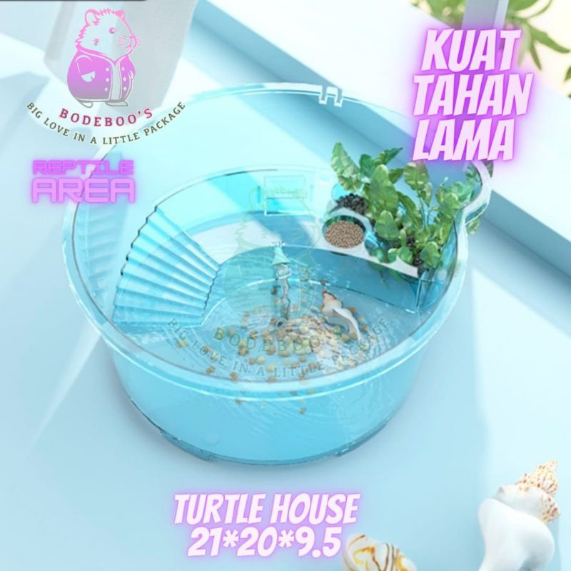 Jual 1 Pcs - Blue Small Conch Turle Tank Motif Keong - Kura-kura - Size ...