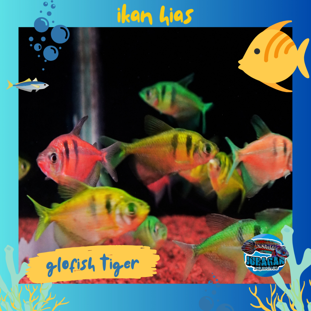 Jual 400 PCS MATA IKAN GLOW IN DARK 5mm - Kab. Jombang - And1_one