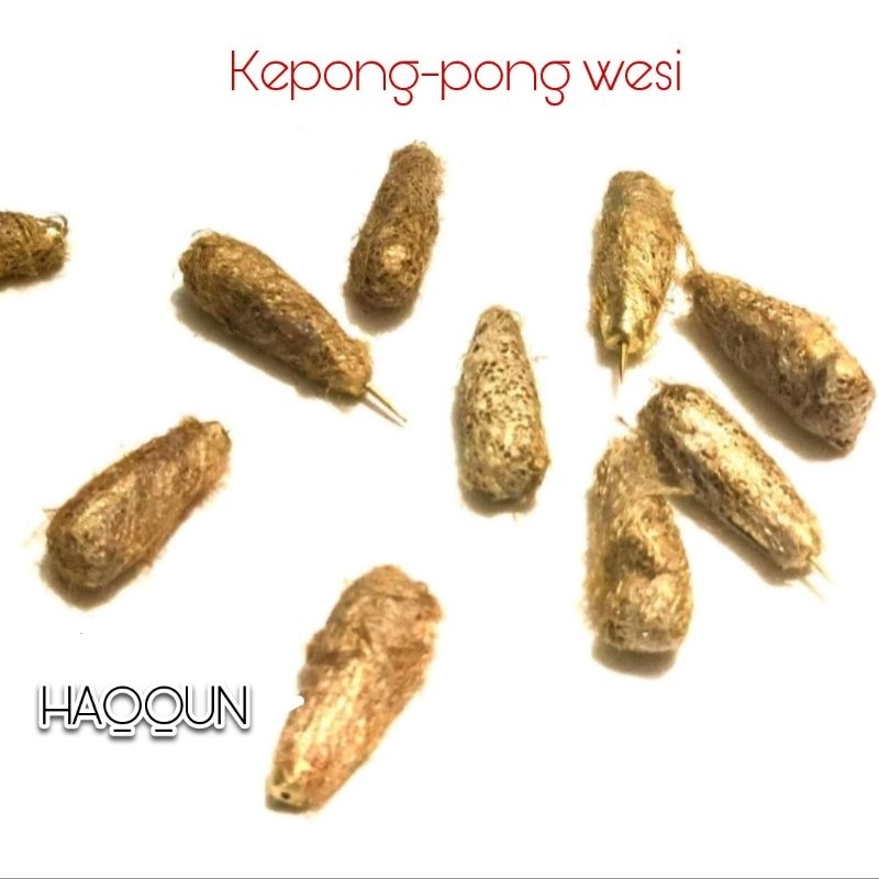 Jual Kepongpong Wesi Kuningan Asli | Shopee Indonesia