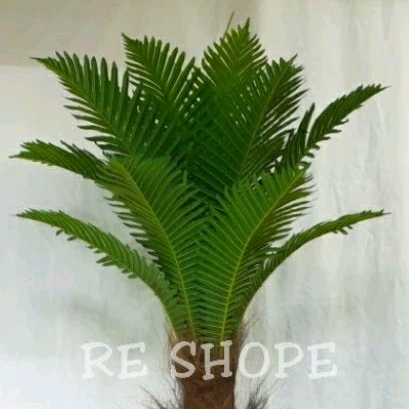 Jual pakis jepang artificial import pot BULAT tinggi 120cm - GROSIR ...
