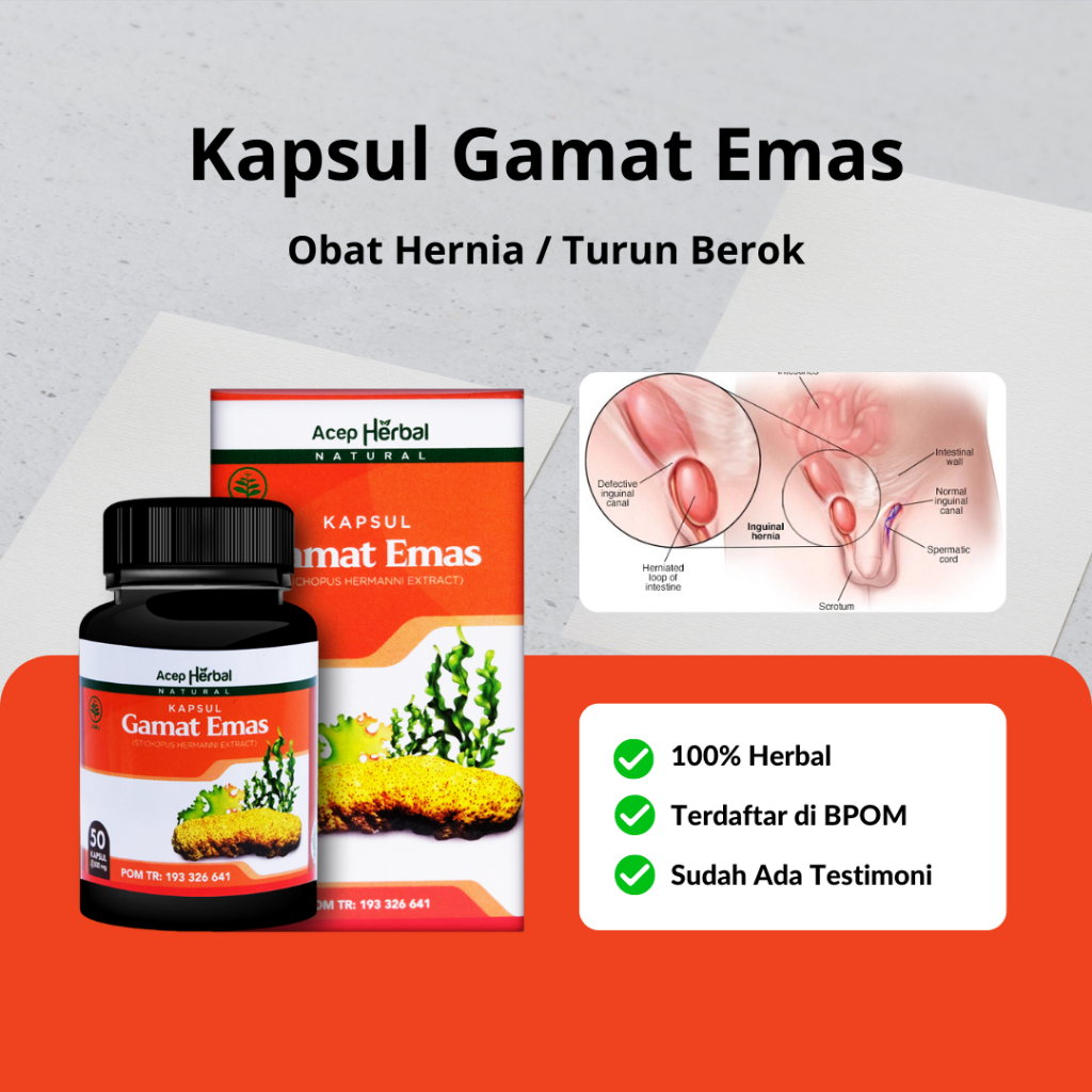 Jual Kapsul Gamat Emas Obat Hernia Turun Berok Hernia Inguinalis