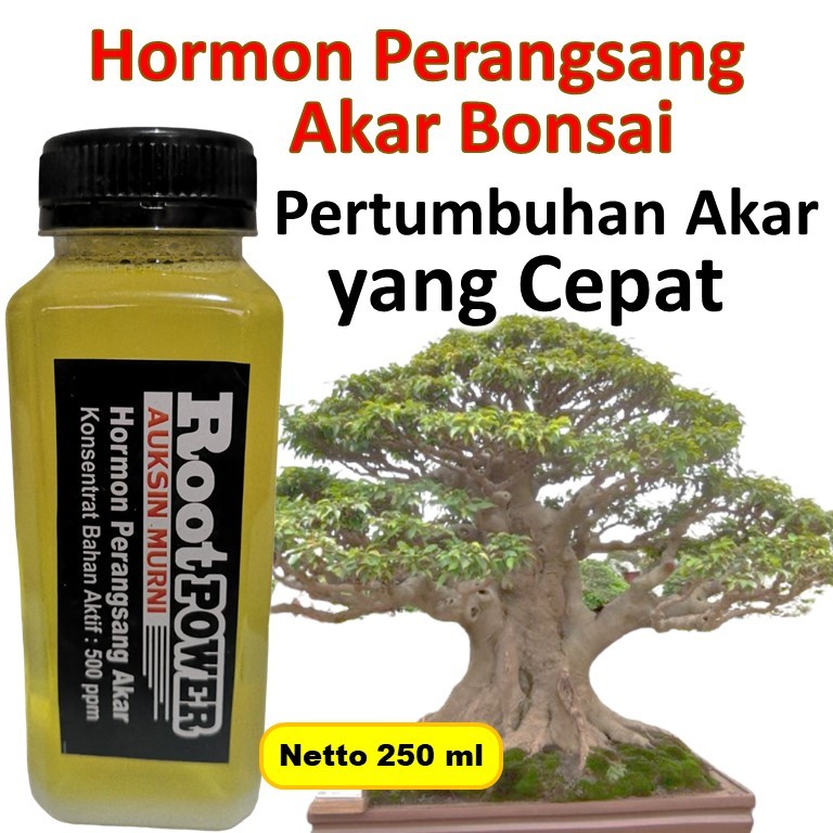 Jual Root Power 250ml auksin murni / auksin perangsang akar