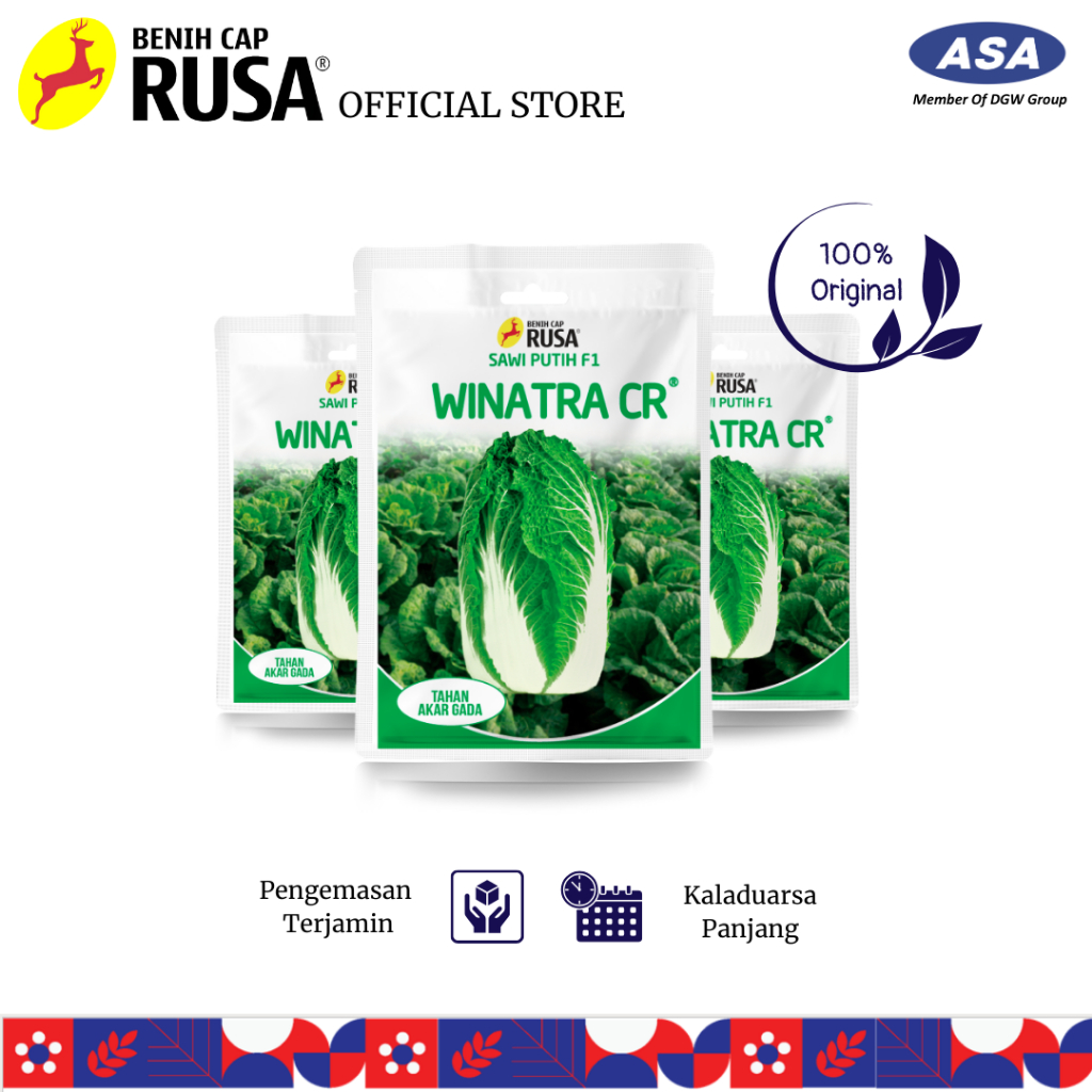 Jual Benih Cap Rusa - 3500 BENIH BIBIT BIJI SAWI PUTIH WINATRA F1 - 10 ...