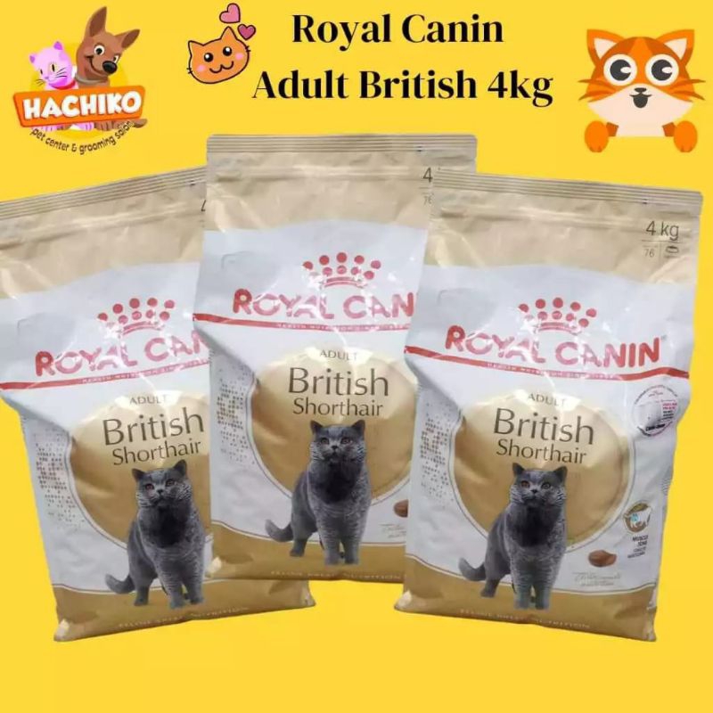 Jual Royal Canin Adult British Shorthair 4Kg Royal Canin Dry