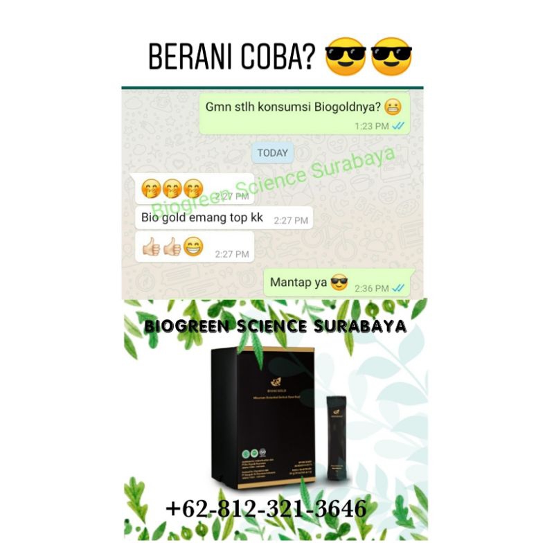 Jual BIO SC GOLD (BIOGOLD) ECER PER SACHET | Shopee Indonesia