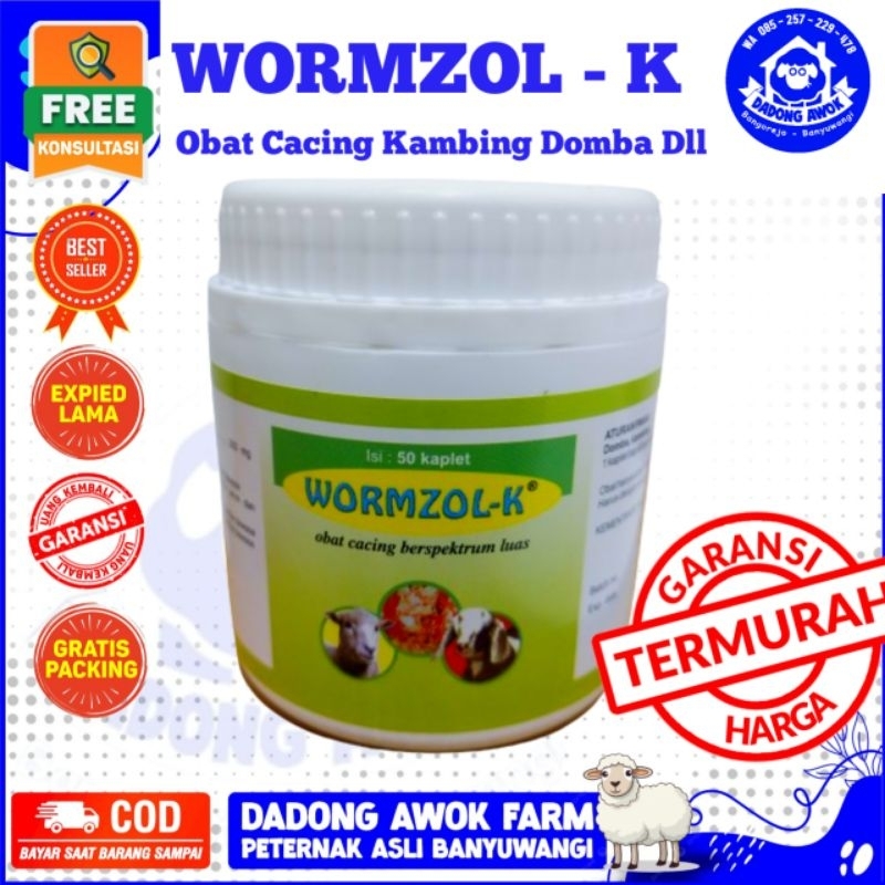 Jual OBAT CACING KAMBING DOMBA WORMZOL K 50 WORMZOL K 10 Kaplet - Obat ...