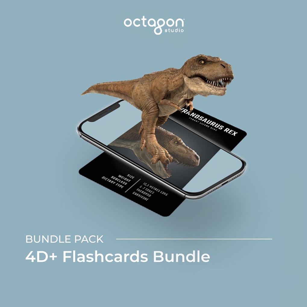 Jual Octagon Studio Bundle 4D+ Flashcards | 4 Flashcard Packs ...