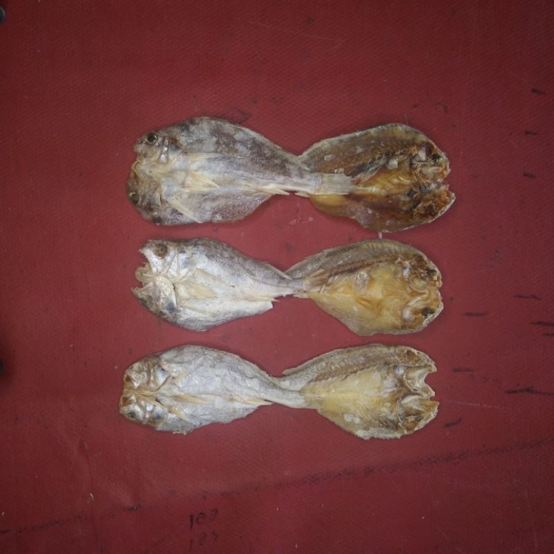 Jual 250g Samge Tawar SUPER / Kepala Batu Tawar / Ikan Asin Samge ...