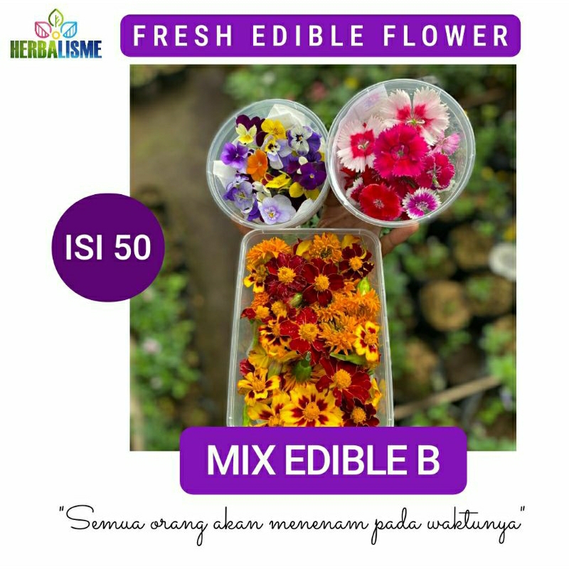 Jual MIX FRESH EDIBLE FLOWER | BUNGA SEGAR | Shopee Indonesia