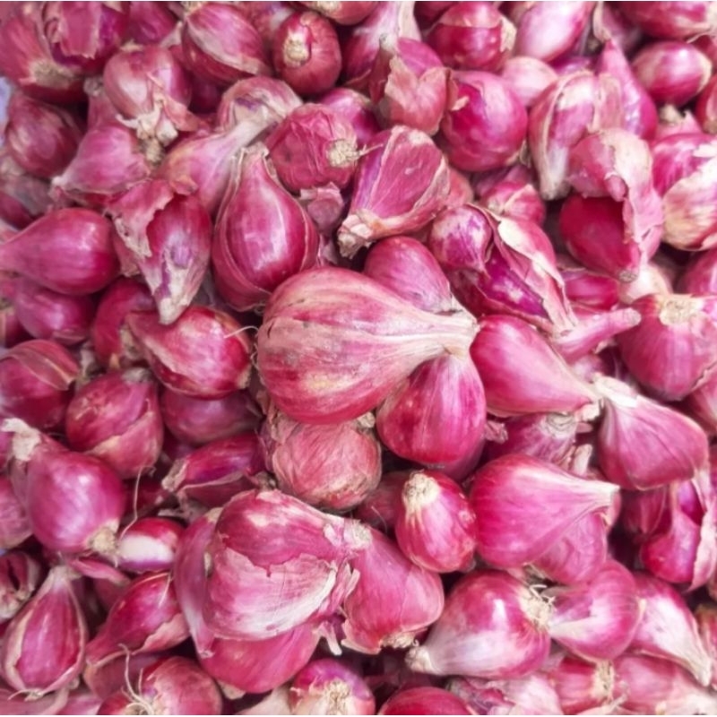 Jual Bawang Merah Lokal Jawa Caruk Kering Bersih Awet No Busuk Sedap ...