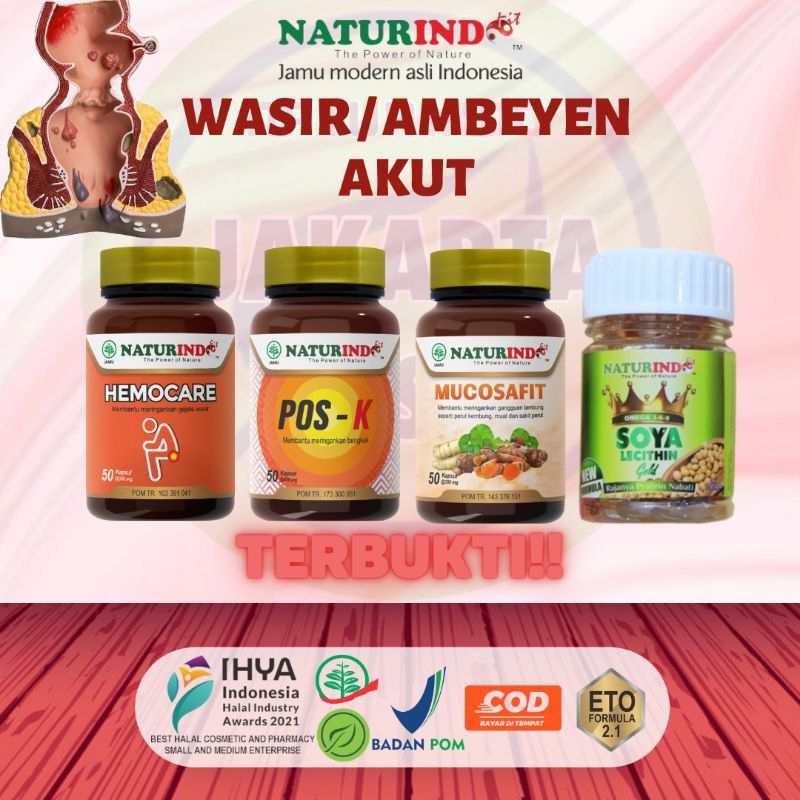 Jual Naturindo Hemocare Herbal Obat Wasir Wasiri Ambien Ambeyen Ambeien ...