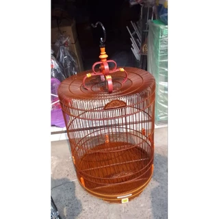 Pugachev shahrida porno