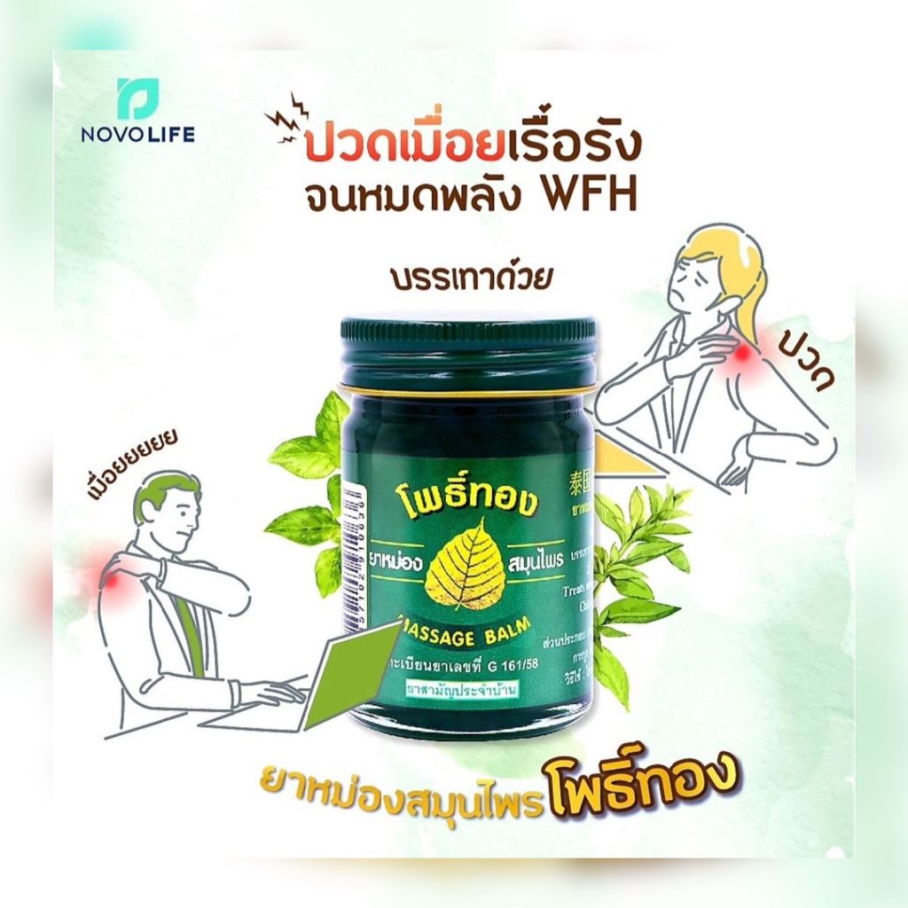 Jual NOVOLIFE PHO THONG BODY MASSGE BALM - Balsam Thailand Original ...