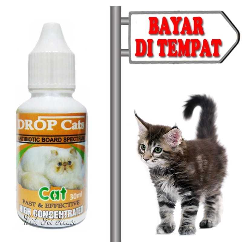 Jual DROP CATS Antibiotic Board Spectrum HIGH CONCENTRATE 30 ml Maxindo ...