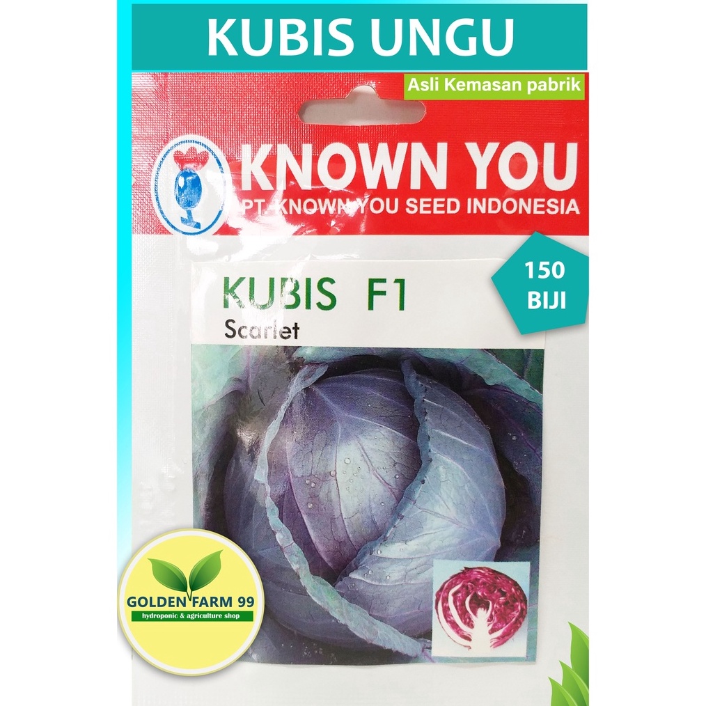 Jual WOW Benih Bibit Kubis Ungu Atau Cabbage Scarlet Original Packing ...