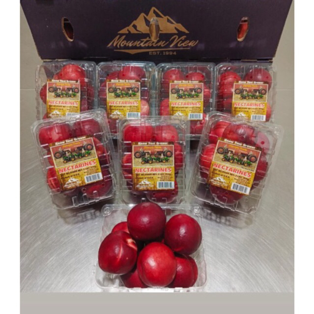 Jual Nectarine Putih USA Berat 900gram /pack | Shopee Indonesia
