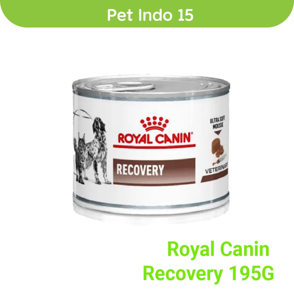 Jual Royal Canin Recovery 195gr | Shopee Indonesia