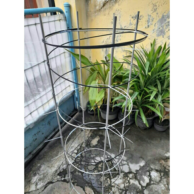 Jual RAMBATAN ANGGUR/KABEL TANAMAN RAMBAT | Shopee Indonesia
