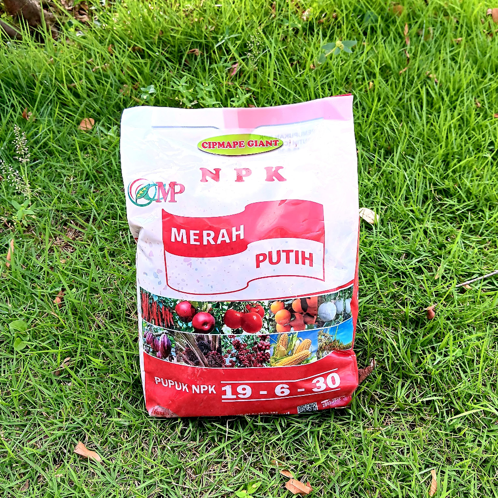 Jual Pupuk NPK 19-6-30 Merah Putih 1 Kg Setara NPK Grower Pupuk Untuk ...