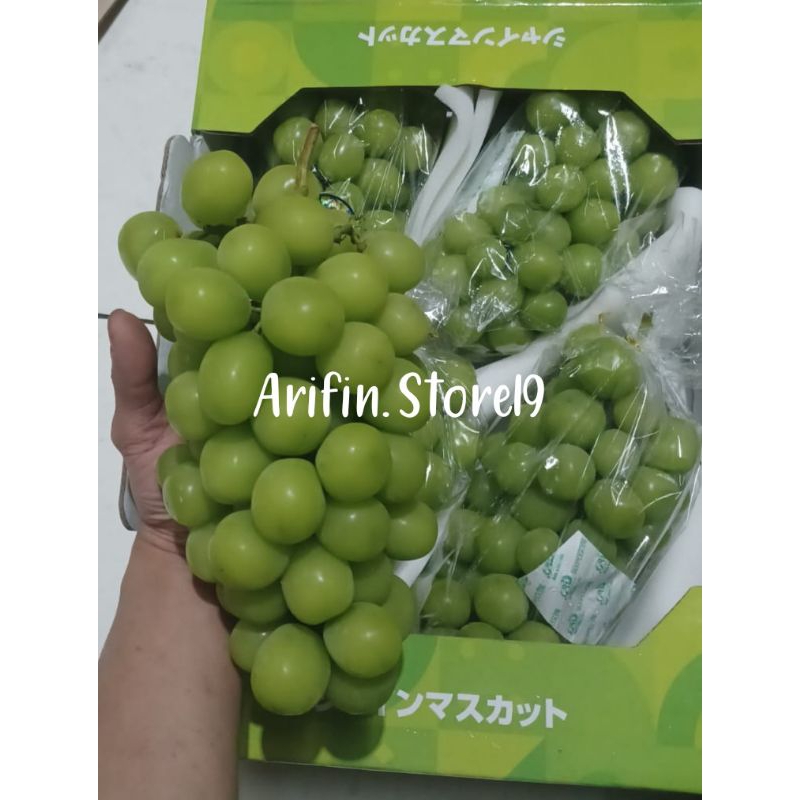 Jual Anggur Shine Muscat RRC 500gr / Di Jamin Manis | Shopee Indonesia