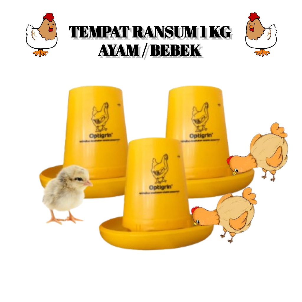 Jual Tempat Ransum Ayam 1kg Wadah Pakan Makanan Ayam Bebek Unggas ...