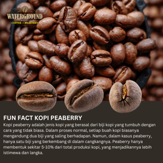 Jual Waterground Coffee 