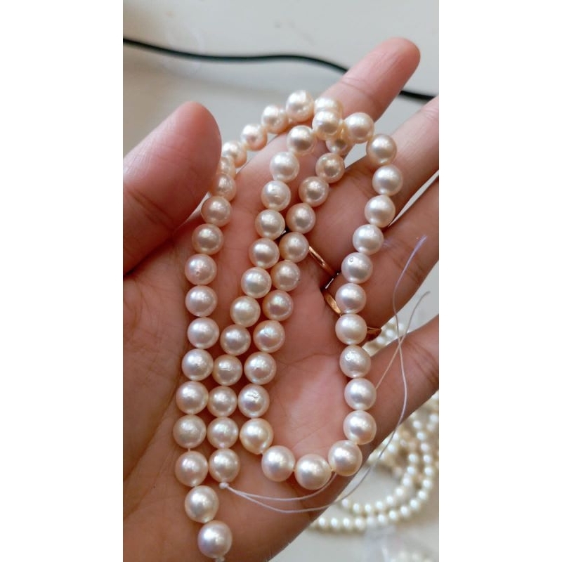 Collier De Perles Akoya Japonaises - 7-7,5 Mm Jaune Clair - Or Jaune 14 Carats - 18 Pouces